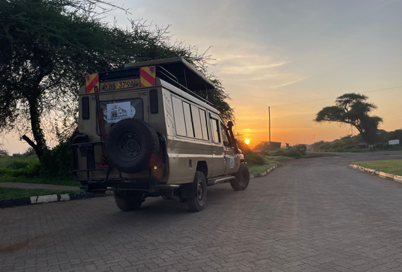 Marimpet Safaris