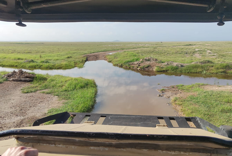 Marimpet Safaris
